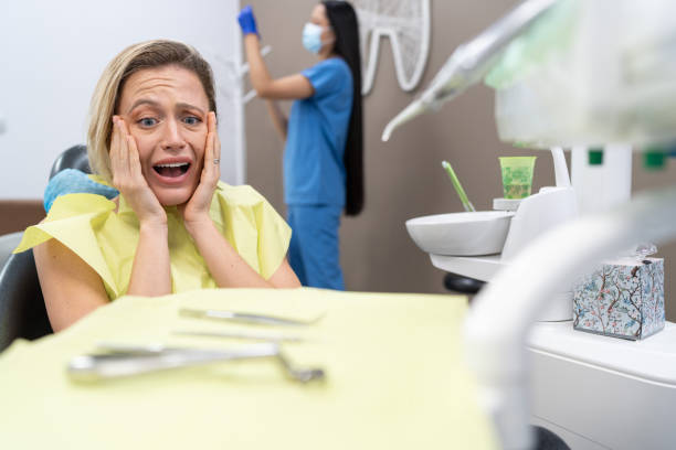 Best Chipped Tooth Repair Near Me  in Croswell, MI