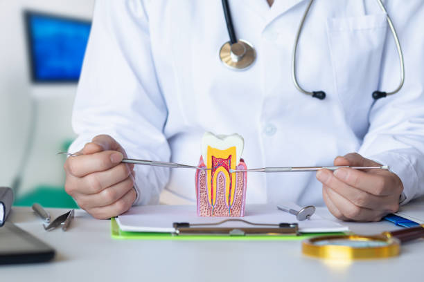 Dentist for Dental Trauma in MI